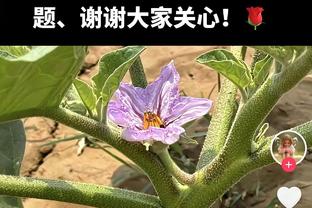 利物浦vs曼联半场数据：利物浦狂轰15脚，曼联2次射门0射正